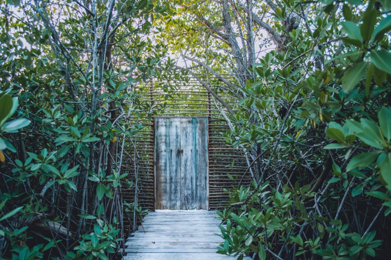 Nativus Glamping & Cenote Tulum Ξενοδοχείο Εξωτερικό φωτογραφία